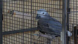 Koudouma Monastery  - CRETE