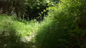 Kounaviano Gorge  - CRETE