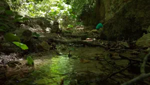 Kounaviano Gorge  - CRETE