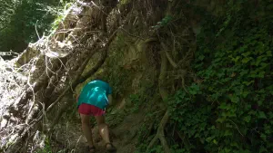 Kounaviano Gorge  - CRETE
