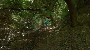 Kounaviano Gorge  - CRETE