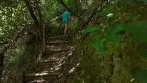 Kounaviano Gorge  - CRETE