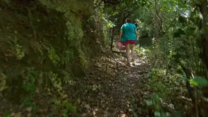 Kounaviano Gorge  - CRETE