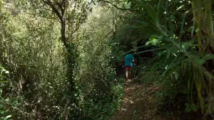 Kounaviano Gorge  - CRETE