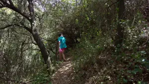 Kounaviano Gorge  - CRETE