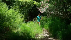 Kounaviano Gorge  - CRETE