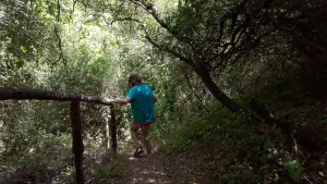 Kounaviano Gorge  - CRETE