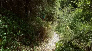 Kounaviano Gorge  - CRETE