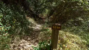 Kounaviano Gorge  - CRETE