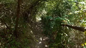 Kounaviano Gorge  - CRETE