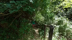 Kounaviano Gorge  - CRETE