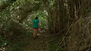 Kounaviano Gorge  - CRETE