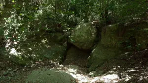Kounaviano Gorge  - CRETE