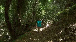 Kounaviano Gorge  - CRETE