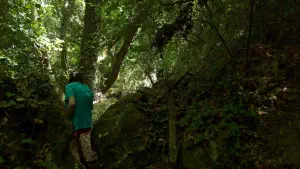 Kounaviano Gorge  - CRETE