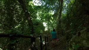 Kounaviano Gorge  - CRETE