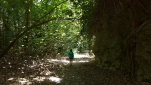 Kounaviano Gorge  - CRETE