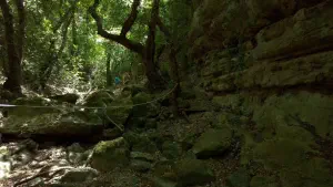 Kounaviano Gorge  - CRETE