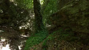 Kounaviano Gorge  - CRETE