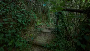Kounaviano Gorge  - CRETE