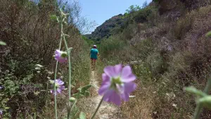 Kounaviano Gorge  - CRETE