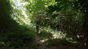 Kounaviano Gorge  - CRETE
