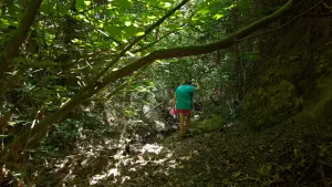 Kounaviano Gorge  - CRETE