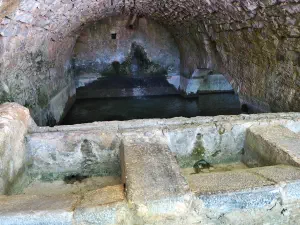 Krasi Megali Vrysi  - CRETE