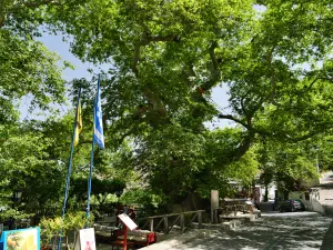 Krasi Megali Vrysi  - CRETE