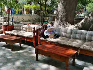 Krasi Megali Vrysi  - CRETE