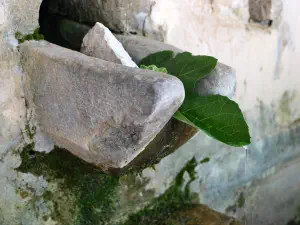 Krasi Megali Vrysi  - CRETE