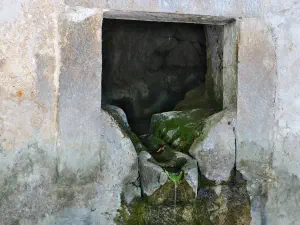 Krasi Megali Vrysi  - CRETE