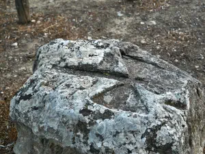 Mana Elia (Mother Olive Tree of Kamilari)  - CRETE