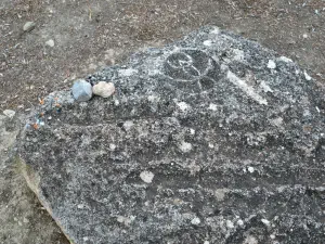 Mana Elia (Mother Olive Tree of Kamilari)  - CRETE