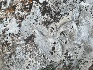 Mana Elia (Mother Olive Tree of Kamilari)  - CRETE