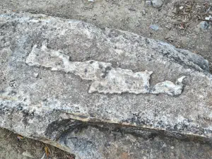 Mana Elia (Mother Olive Tree of Kamilari)  - CRETE