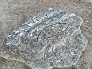 Mana Elia (Mother Olive Tree of Kamilari)  - CRETE