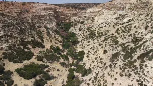 Martsalo Gorge  - CRETE
