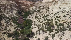 Martsalo Gorge  - CRETE