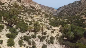 Martsalo Gorge  - CRETE