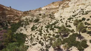 Martsalo Gorge  - CRETE