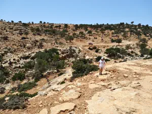 Martsalo Gorge  - CRETE
