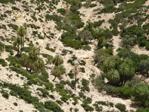 Martsalo Gorge  - CRETE