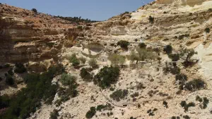 Martsalo Panagia Martsaliani Church  - CRETE