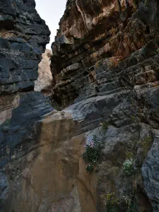 Mesosfini Gorge  - CRETE