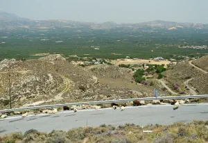 Messara Plain  - CRETE