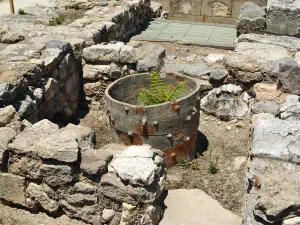 Minoan Palace of Knossos  - CRETE