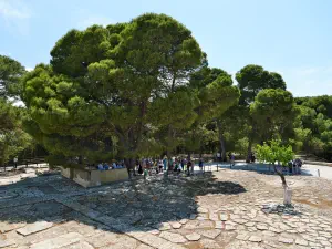 Minoan Palace of Knossos  - CRETE