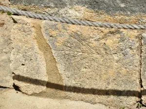 Minoan Palace of Knossos  - CRETE
