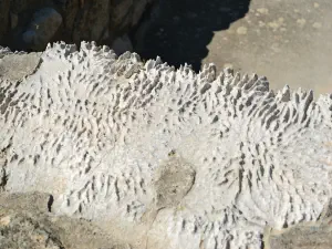 Minoan Palace of Knossos  - CRETE